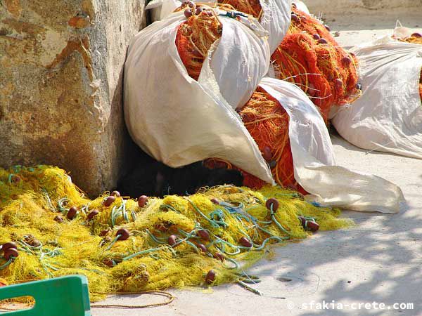 Photo report of around Sfakia, Crete, October 2004