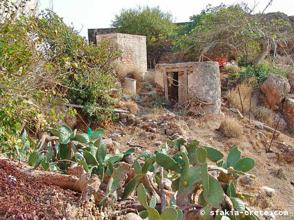 Photo report of around Sfakia, Crete, October 2004