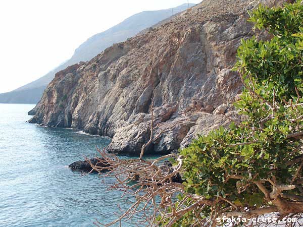 Photo report of around Sfakia, Crete, October 2004