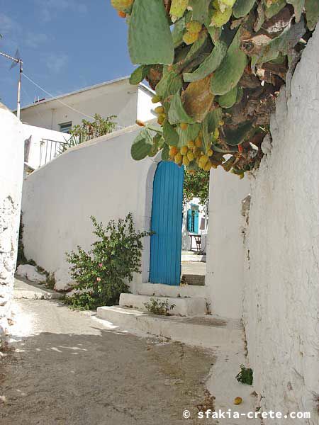 Photo report of around Sfakia, Crete, October 2004