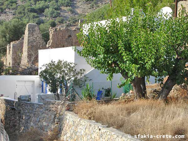 Photo report of around Sfakia, Crete, October 2004