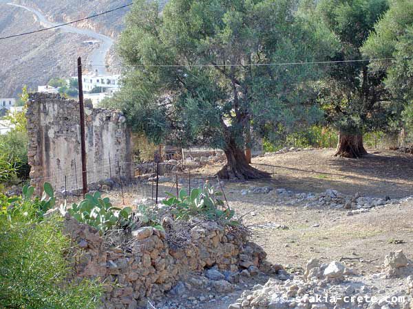 Photo report of around Sfakia, Crete, October 2004