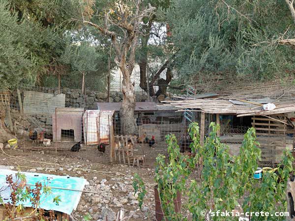 Photo report of around Sfakia, Crete, October 2004