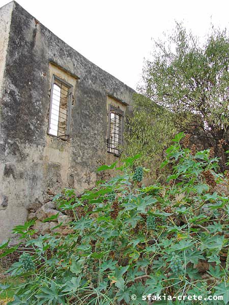 Photo report of around Sfakia, Crete, October 2004