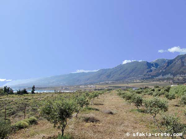 Photo report of a trip to Frangokastello, Sfakia, Crete, May 2004