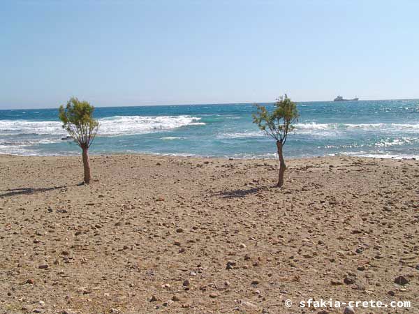 Photo report of a trip to Frangokastello, Sfakia, Crete, May 2004