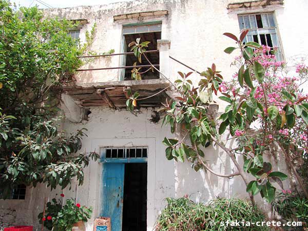 Photo report of a trip to Sfakia, Crete, May 2004