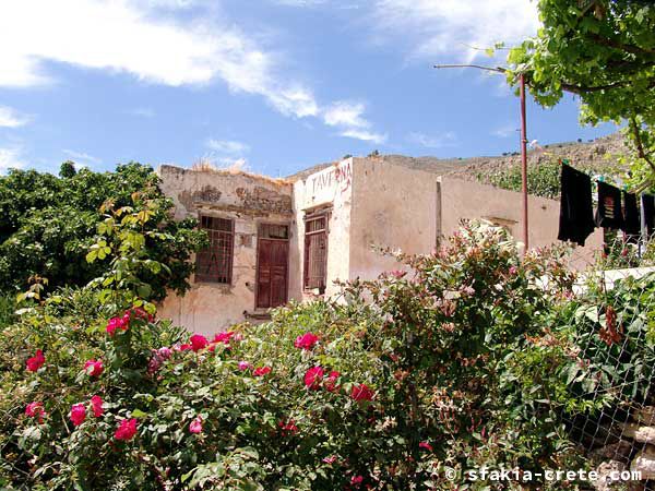 Photo report of a trip to Sfakia, Crete, May 2004