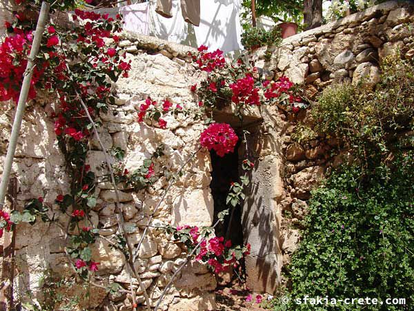 Photo report of a trip to Sfakia, Crete, May 2004