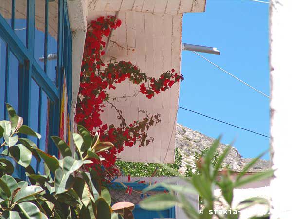 Photo report of a trip to Sfakia, Crete, May 2004