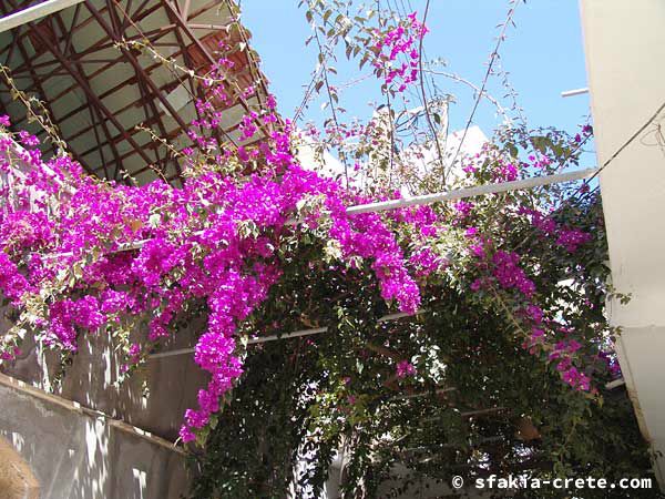 Photo report of a trip to Sfakia, Crete, May 2004