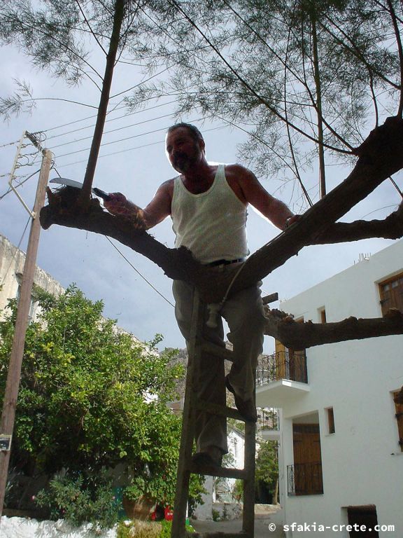 Photo report of a trip to Sfakia, Crete, October 2003