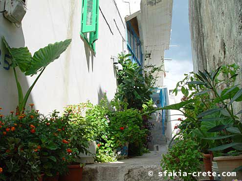 Photo report of a trip to Sfakia, Crete, October 2002