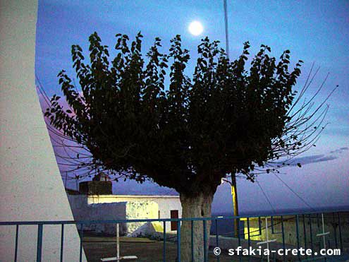 Photo report of a trip to Sfakia, Crete, October 2002