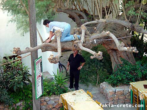 Photo report of a trip to Sfakia, Crete, October 2002