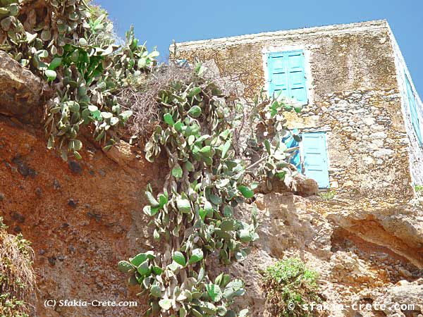 Photo report of a trip to Sfakia, Crete, May 2002