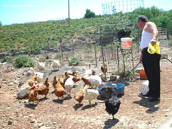 Photo report of a trip to Sfakia, Crete, May 2002