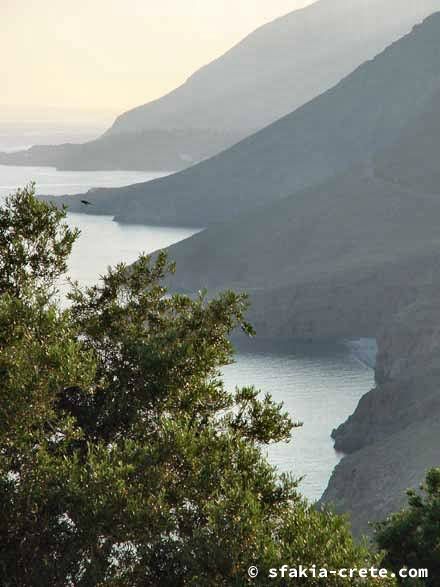 Photo report of a trip to Sfakia, Crete, May 2001