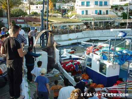 Photo report of a trip to Sfakia, Crete, Spring 2000