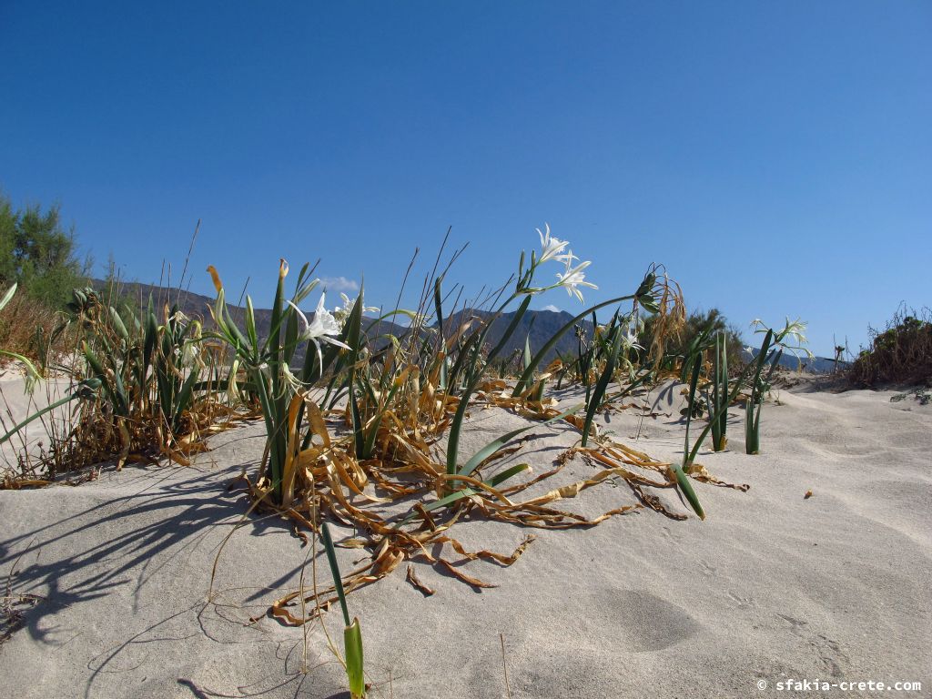 Photo report: Around Sfakia, Crete October 2014