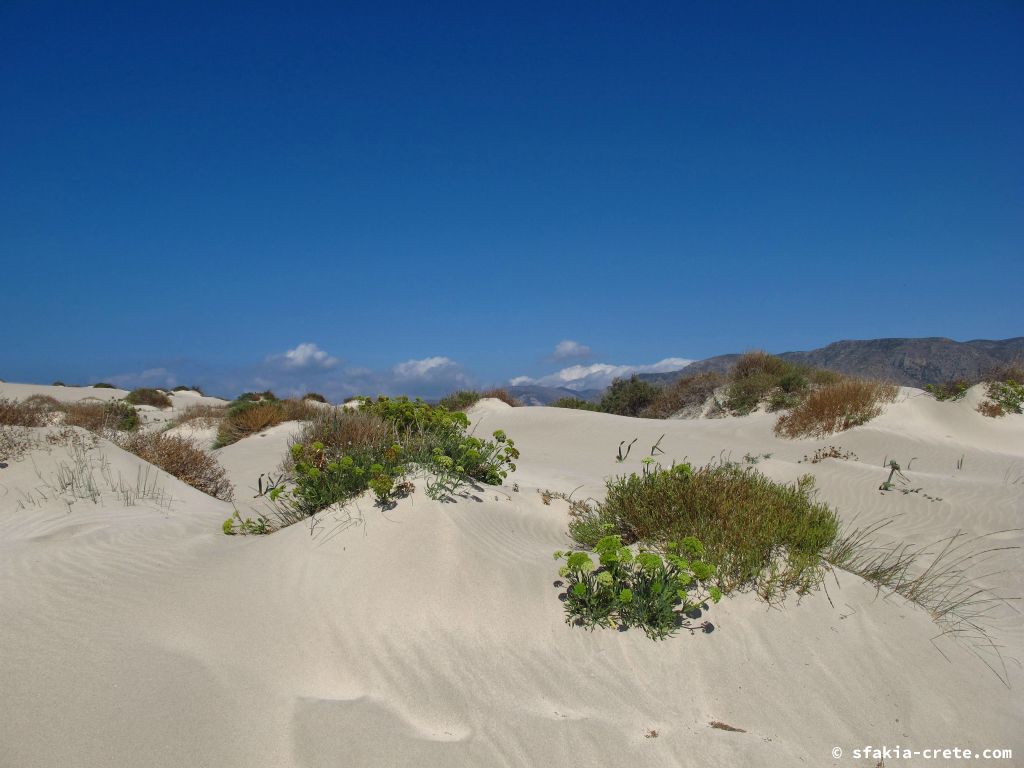 Photo report: Around Sfakia, Crete October 2014