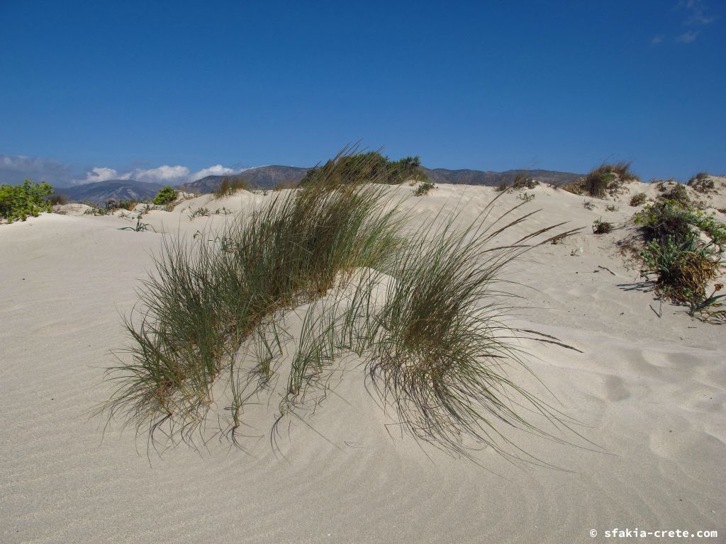 Photo report: Around Sfakia, Crete October 2014