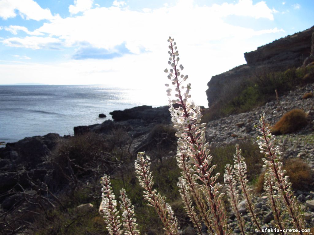 Photo report: Around Sfakia, Crete October 2014