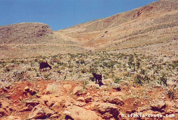 loutro-path12