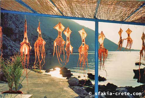 loutro1octopus