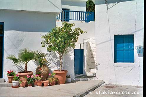 nese-loutro