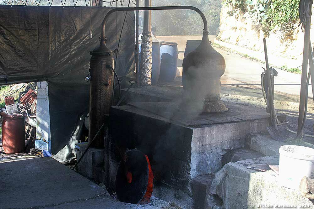 traditional raki making, Crete