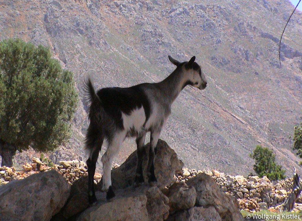 Photos of Sfakia by Wolfgang Kistler