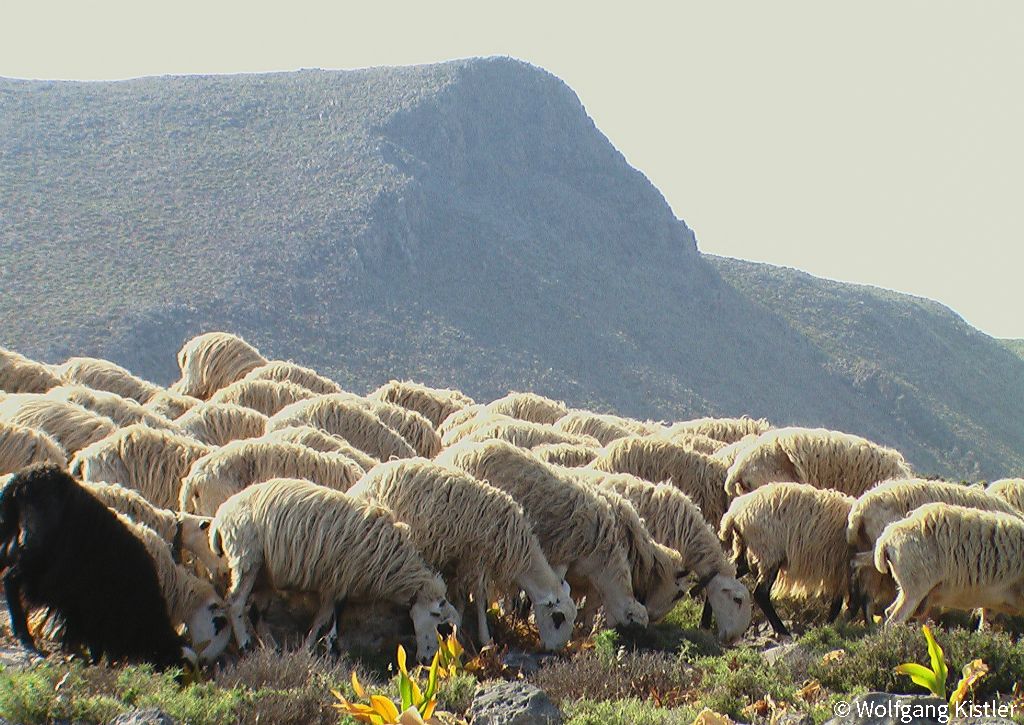 Photos of Sfakia by Wolfgang Kistler