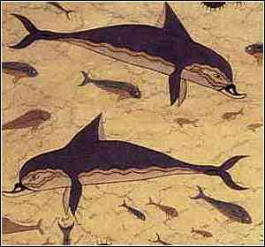 dolphins fresco