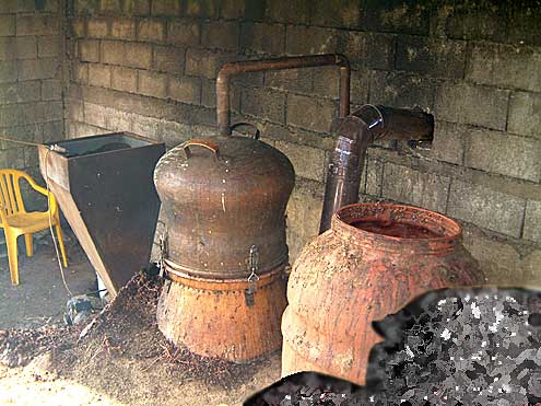 Raki distillery Kallikratis