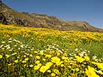 Around Sfakia April 2012 by Wiltrud