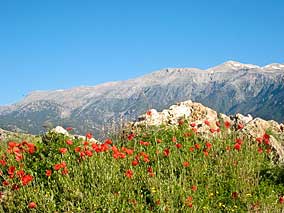 walks in Sfakia, Crete